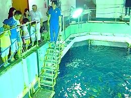 静岡市 東海大学包括連携協定事業 東海大学海洋科学博物館 自然史博物館 ガイドツアー を実施 地域住民が 海の日 に水族館バックヤードの大水槽などを見学 ニュース 学校法人東海大学 静岡市 東海大学包括連携協定事業 東海大学海洋科学博物館 自然史博物館 ガイドツアー を実施 地域住民が 海の日 に水族館バックヤードの大水槽などを見学 ニュース 学校法人東海大学