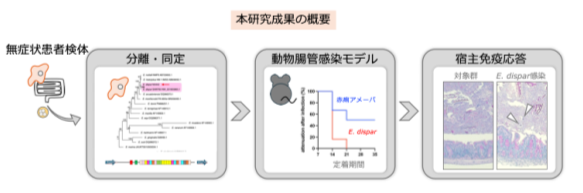 本研究成果の概要.png