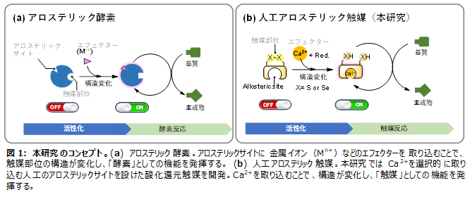 図1本研究のコンセプト.png