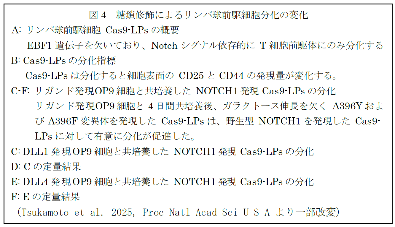 https://www.tokai.ac.jp/news/0fc3c6363d1bac3824089d13973ed1990185fa4e.png