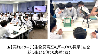 アース.png