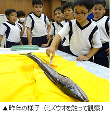 ミズウオ.png
