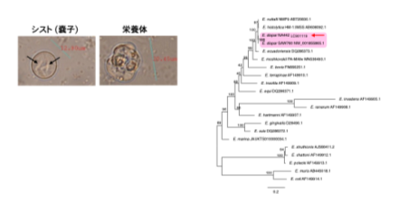 図2.png