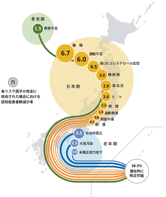 【図】日本国内データを用いて算出した認知症発症に関連する14個の危険因子に関する寄与割合.png
