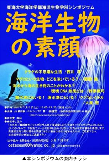 海洋生物の素顔１.png