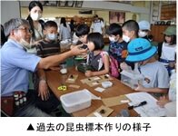 昆虫.jpg