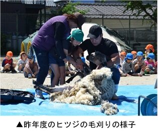 ひつじ.jpg
