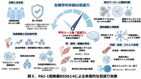 阻害5.jpg