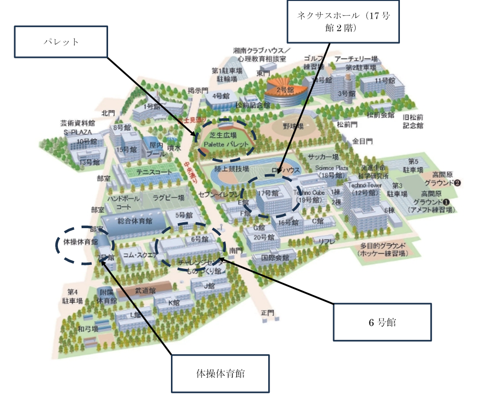 マルカルキャ3.png