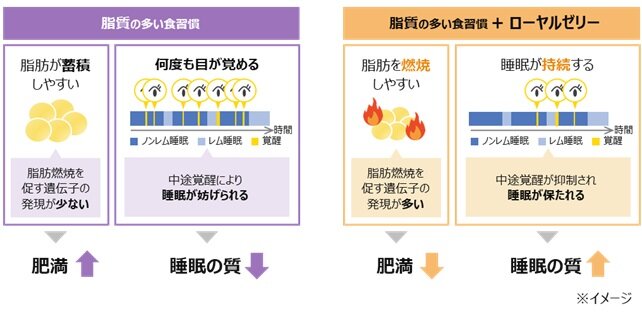 ハチ.jpg