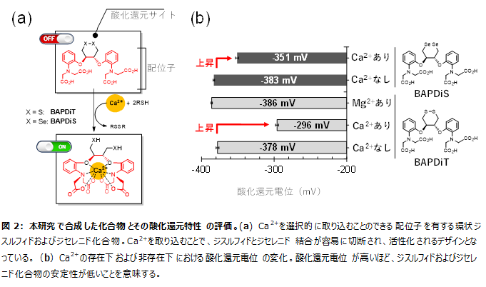 図2本研究で合成した化合物とその酸化還元特性の評価。(a).png