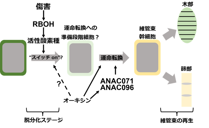 図3.png