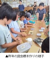 昆虫標本づくりの様子.jpg