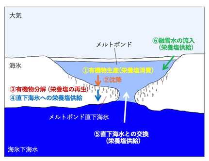 参考図.png