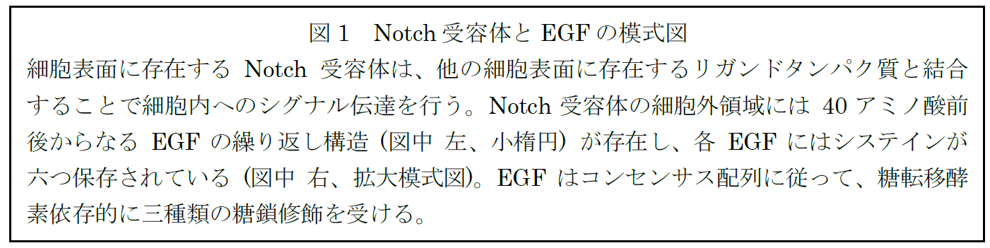 https://www.tokai.ac.jp/news/9057bb7ee5247056e0e669b5d2df512314e8b454.png
