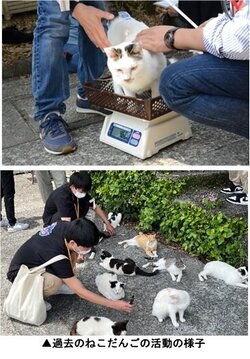 ねこ.jpg