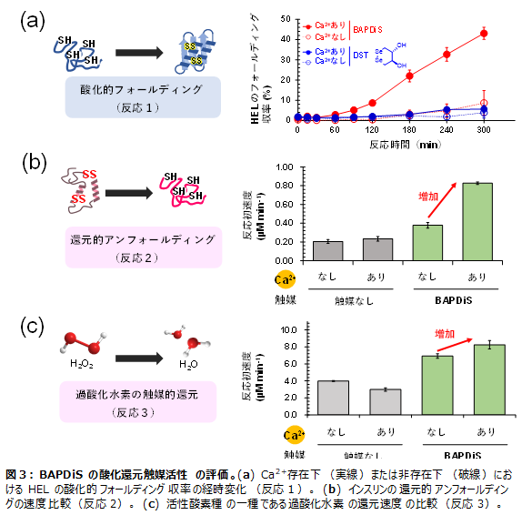 図３BAPDiSの酸化還元触媒活性の評価。(a).png