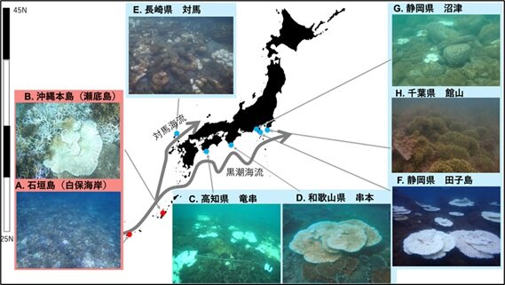 地図1.jpg