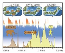 ナウマンゾウ１.jpg