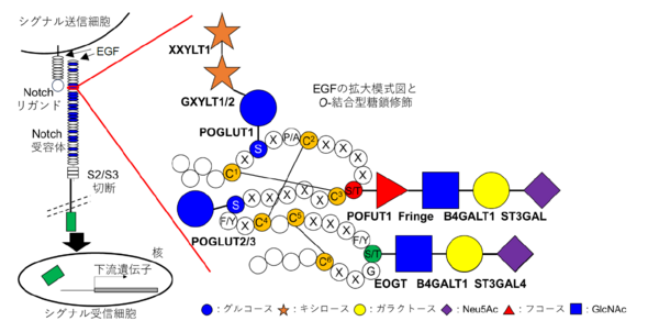 図1.png