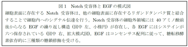 図1説明.png