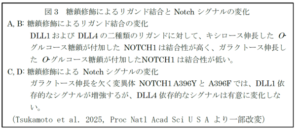 図3説明.png