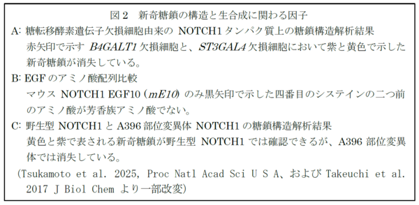 図2説明.png