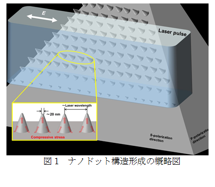 ナノドット.png