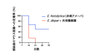 図3.png