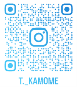 T.KAMOME.png