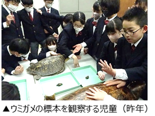 ウミガメの標本を観察する児童（昨年）.png