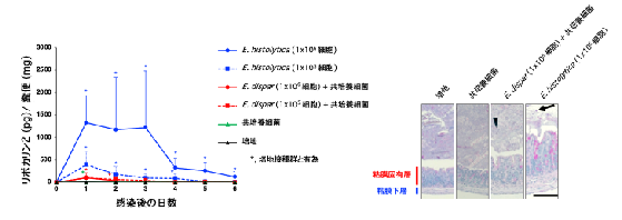 図4.png
