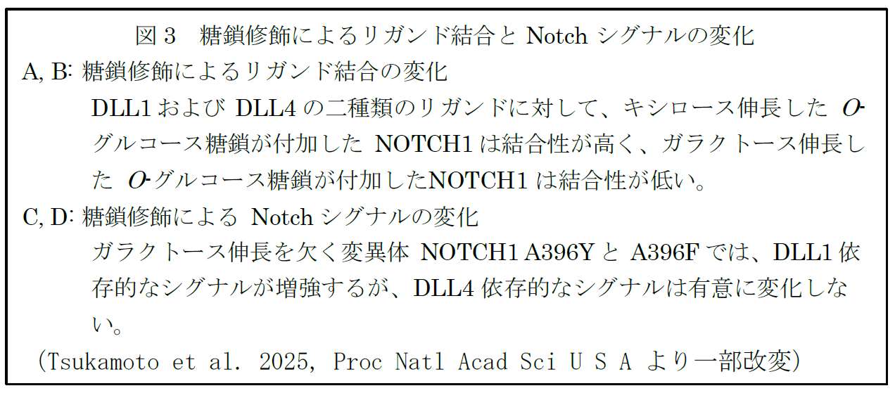 https://www.tokai.ac.jp/news/e0f4901af9a45670fa9befda2414669ae40f4e23.png
