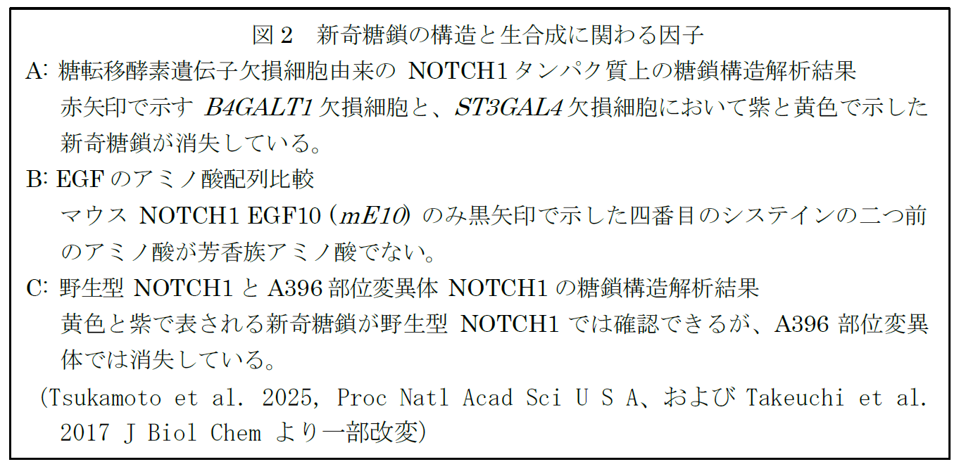 https://www.tokai.ac.jp/news/e6b575f742c12beb89f554ea171023884bf761ca.png