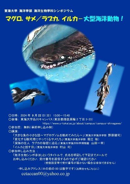 イルカ.jpg