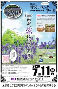 ラベンダー.jpg