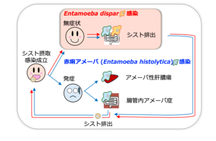 図1.png