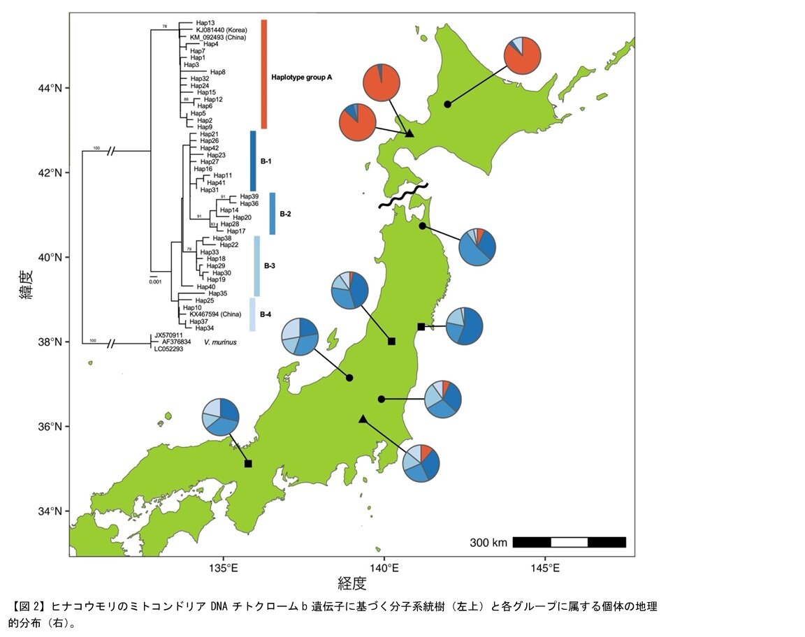日本地図.jpg